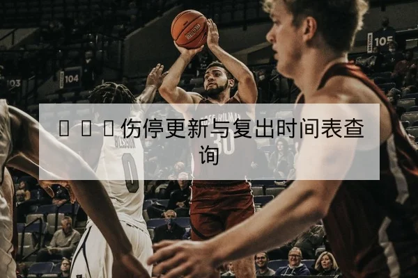 NBA伤停更新与复出时间表查询