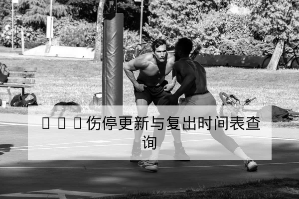 NBA伤停更新与复出时间表查询
